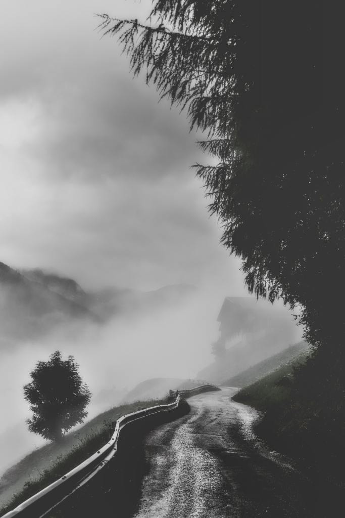 A winding road disappears into fog, flanked by trees and a distant house, creating a moody and atmospheric scene.